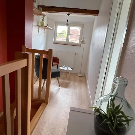 A Day In Apartamento