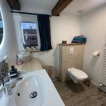 A Day In 公寓 斯特拉斯堡