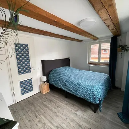 A Day In Apartament *